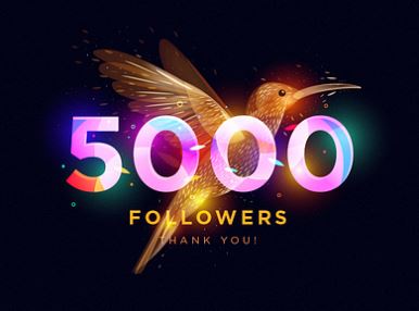 5000 followers apk